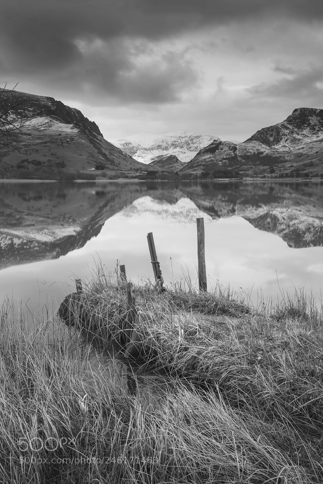 Nikon D800 sample photo. Beautiful black and white photography