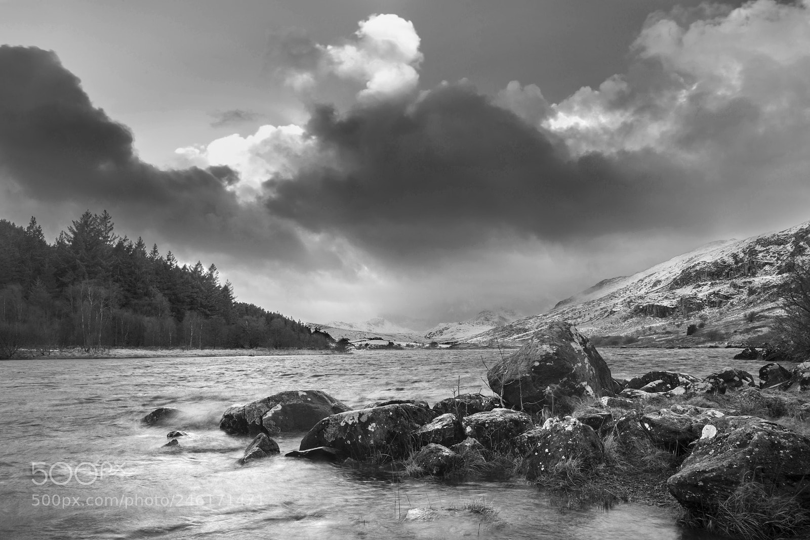 Nikon D800 sample photo. Beautiful black and white photography