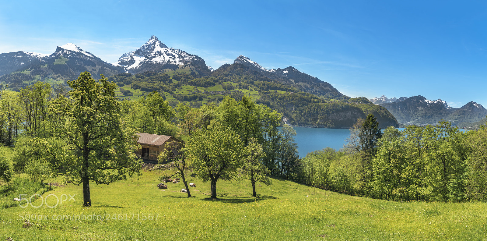 Nikon D750 sample photo. Swiss landscape with mountains photography