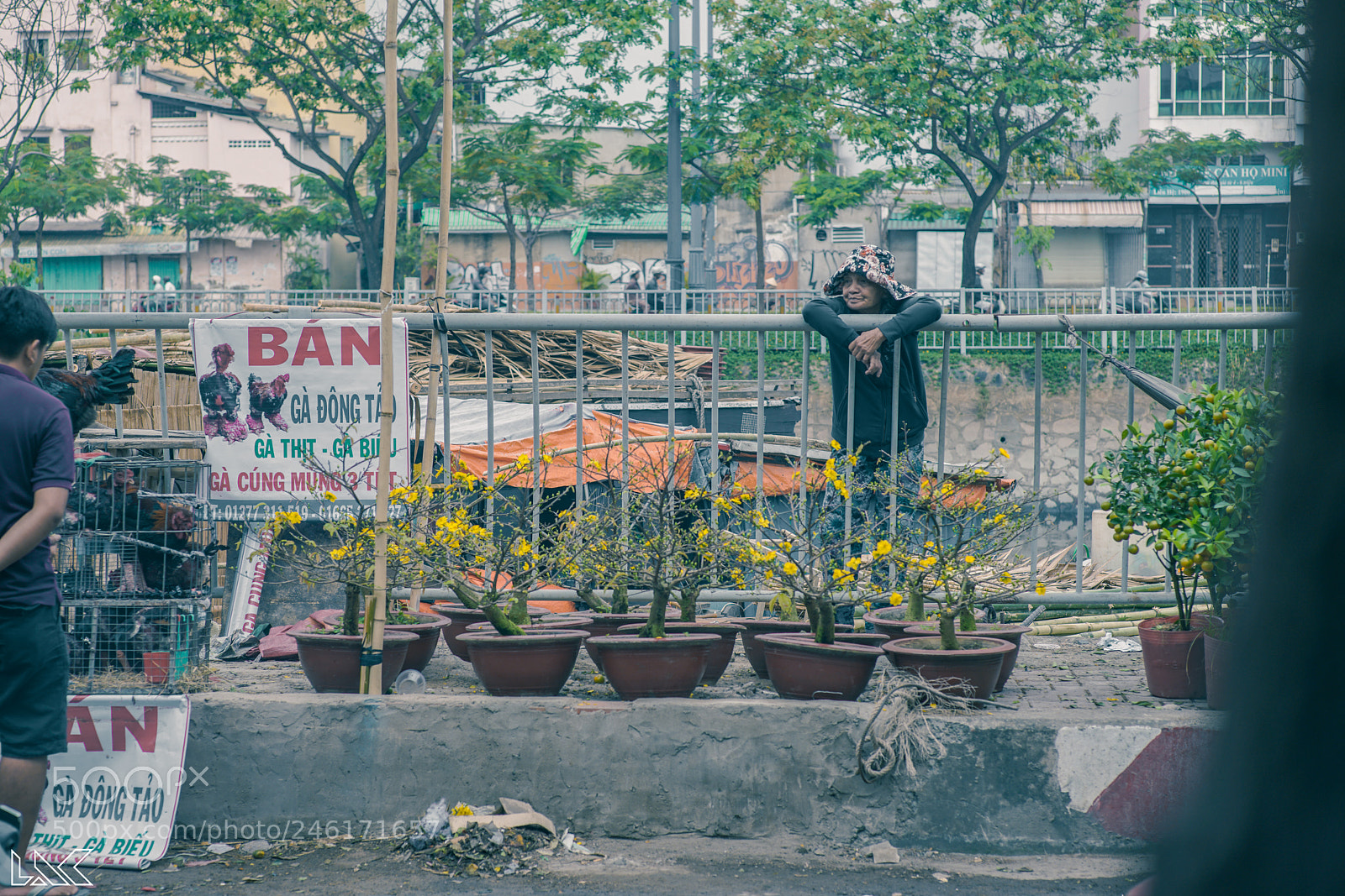 Sony a7R II sample photo. Looking for something #2 photography