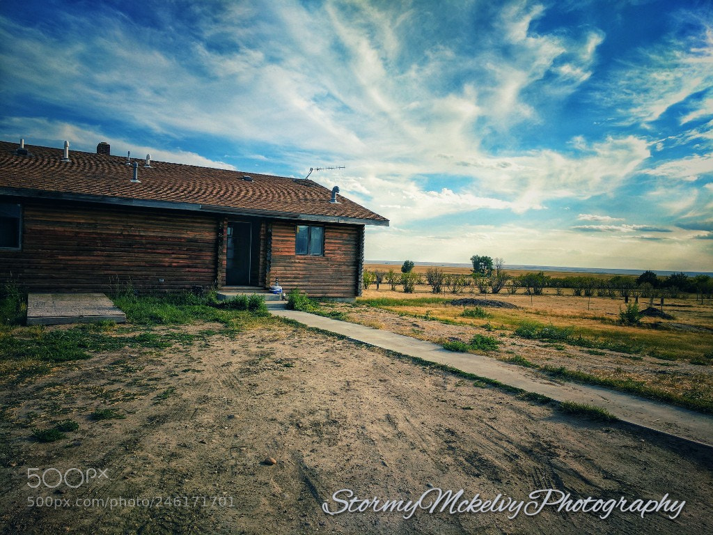 Google Pixel sample photo. Untitled photography