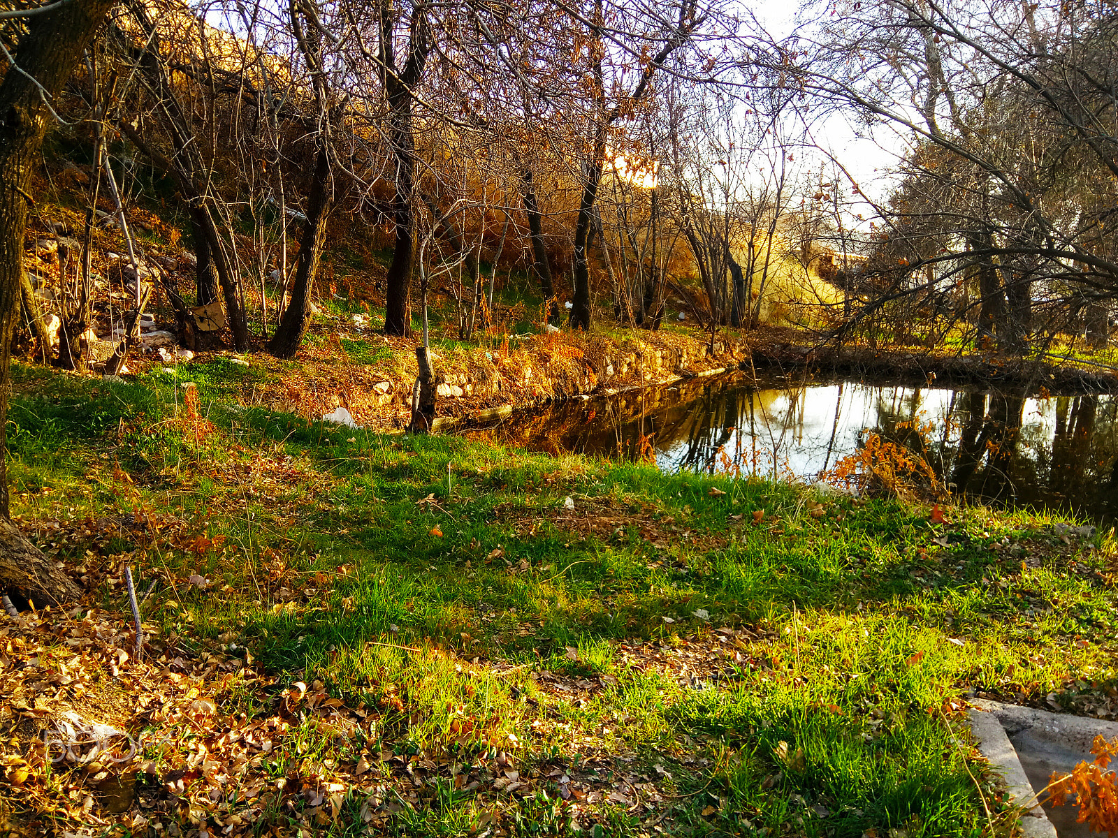 Xiaomi Redmi Pro sample photo