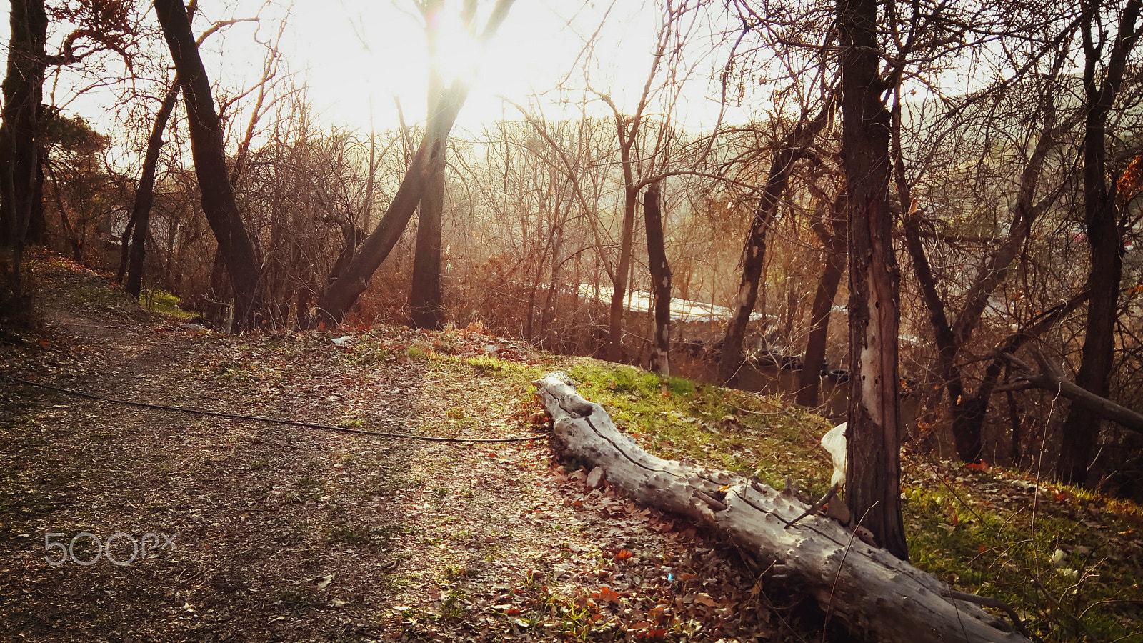 Xiaomi Redmi Pro sample photo