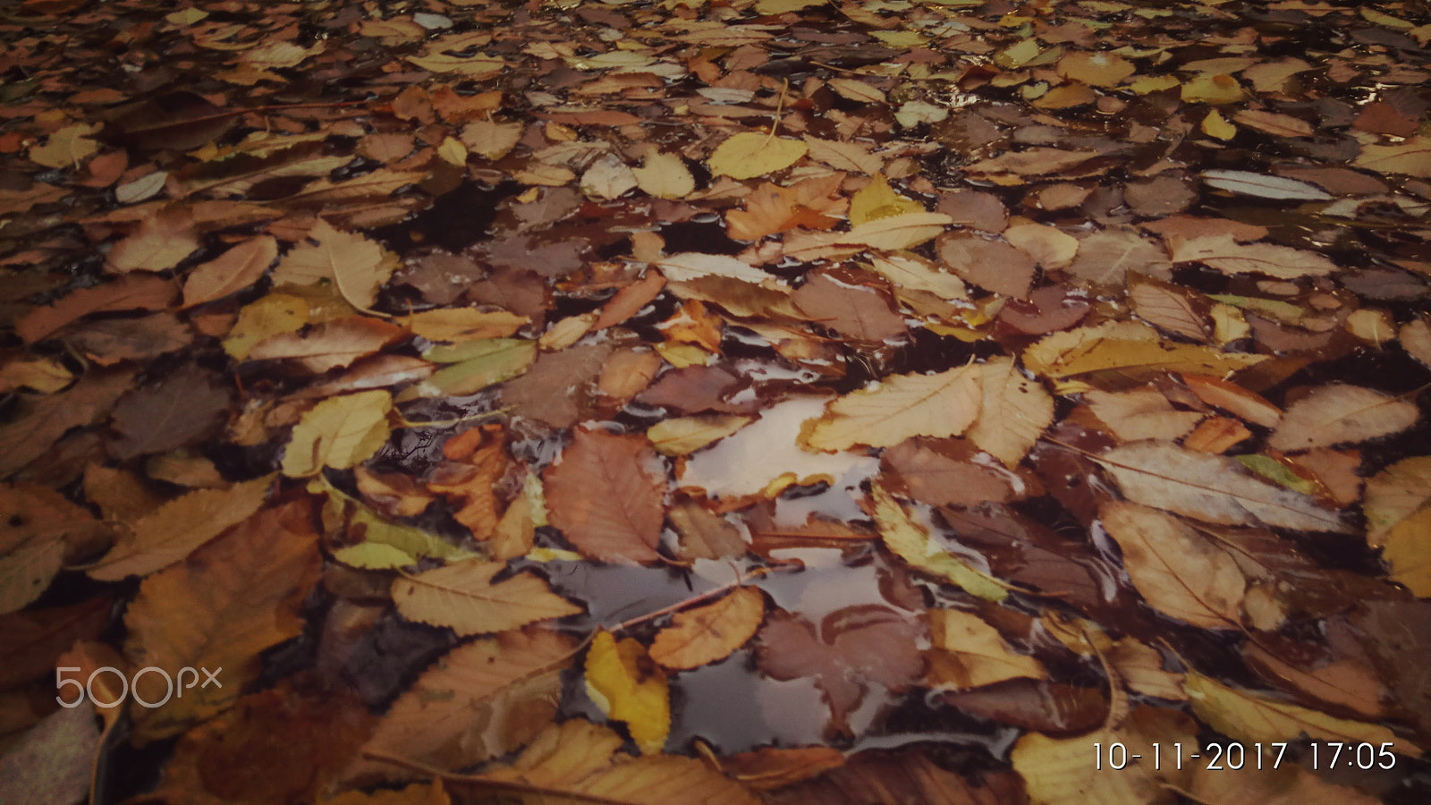 Xiaomi Redmi Pro sample photo