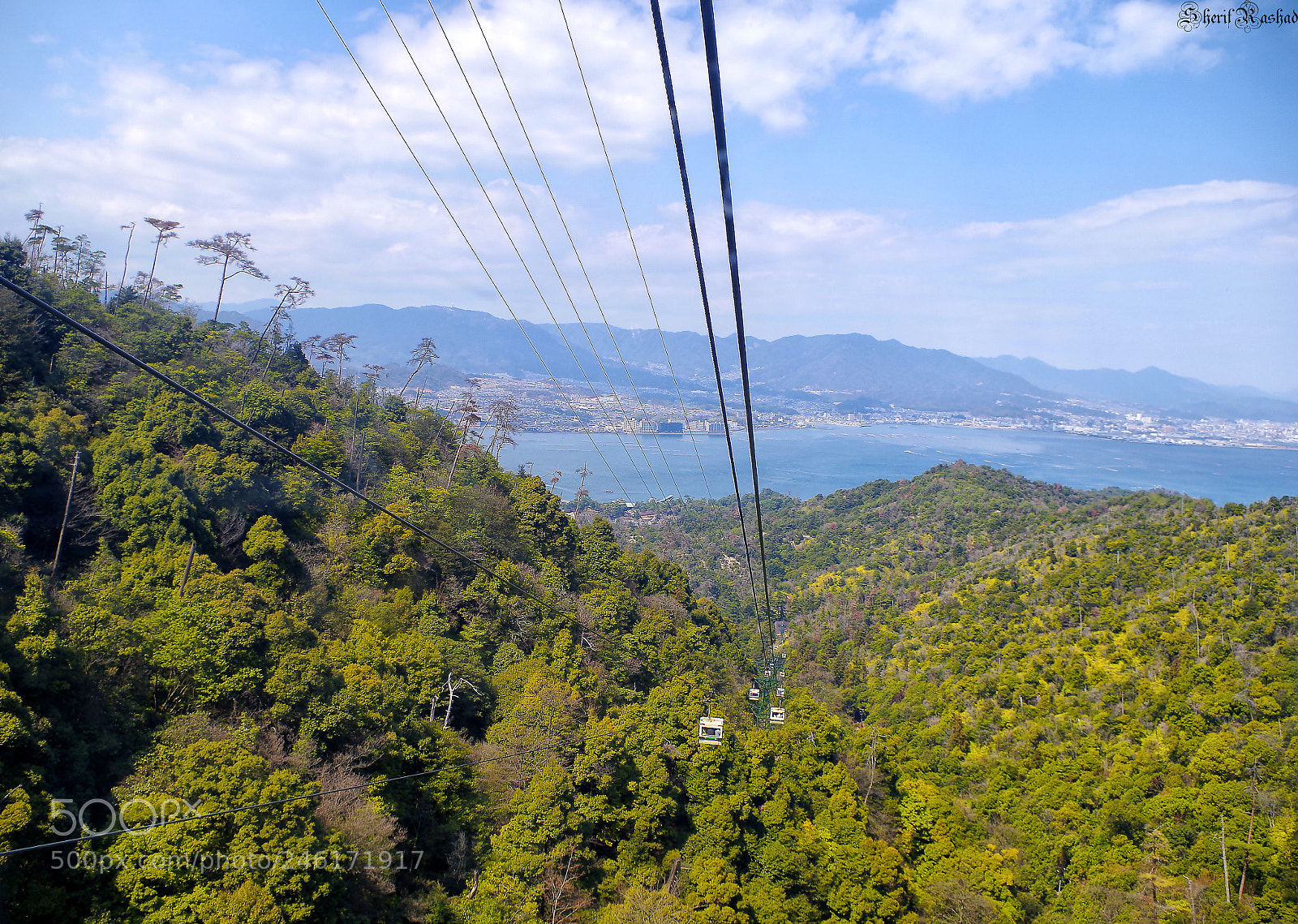 Pentax K-50 sample photo. Going up photography