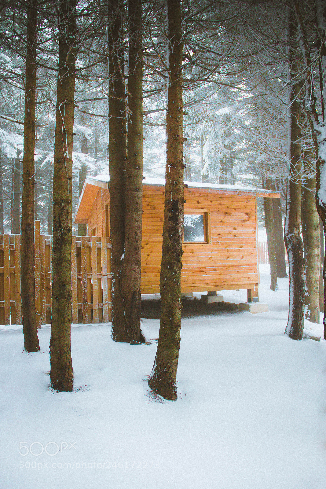 Canon EOS 600D (Rebel EOS T3i / EOS Kiss X5) sample photo. Cabin love photography