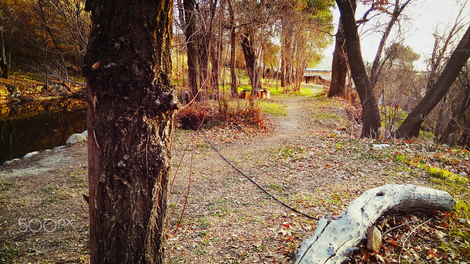 Xiaomi Redmi Pro sample photo. Lost paradise photography