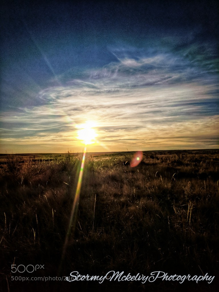Google Pixel sample photo. Untitled photography