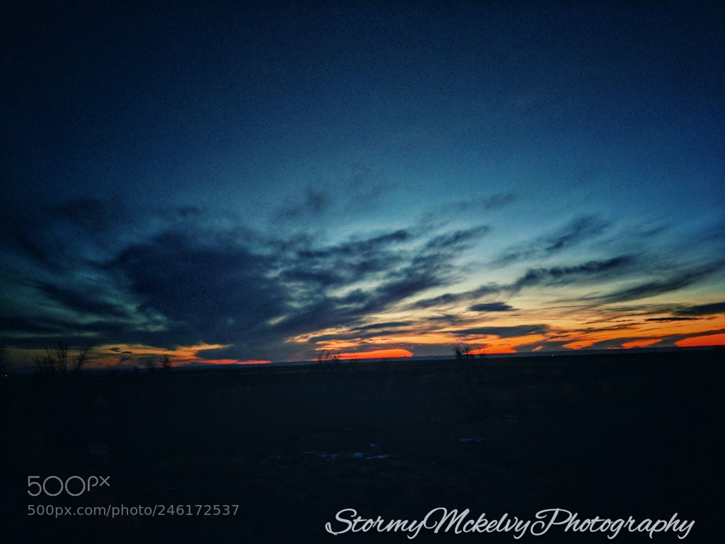 Google Pixel sample photo. Untitled photography