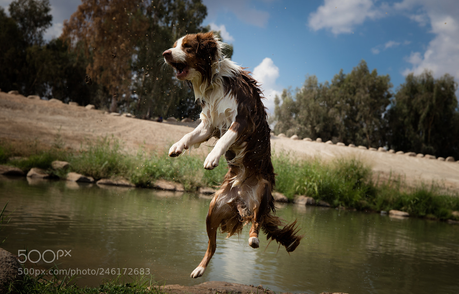 Canon EOS 5DS R sample photo. Ffaff o photography