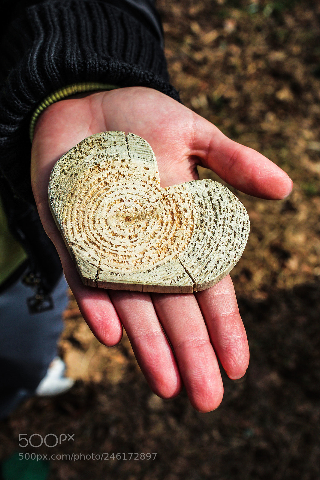 Canon EOS 600D (Rebel EOS T3i / EOS Kiss X5) sample photo. Wooden heart photography