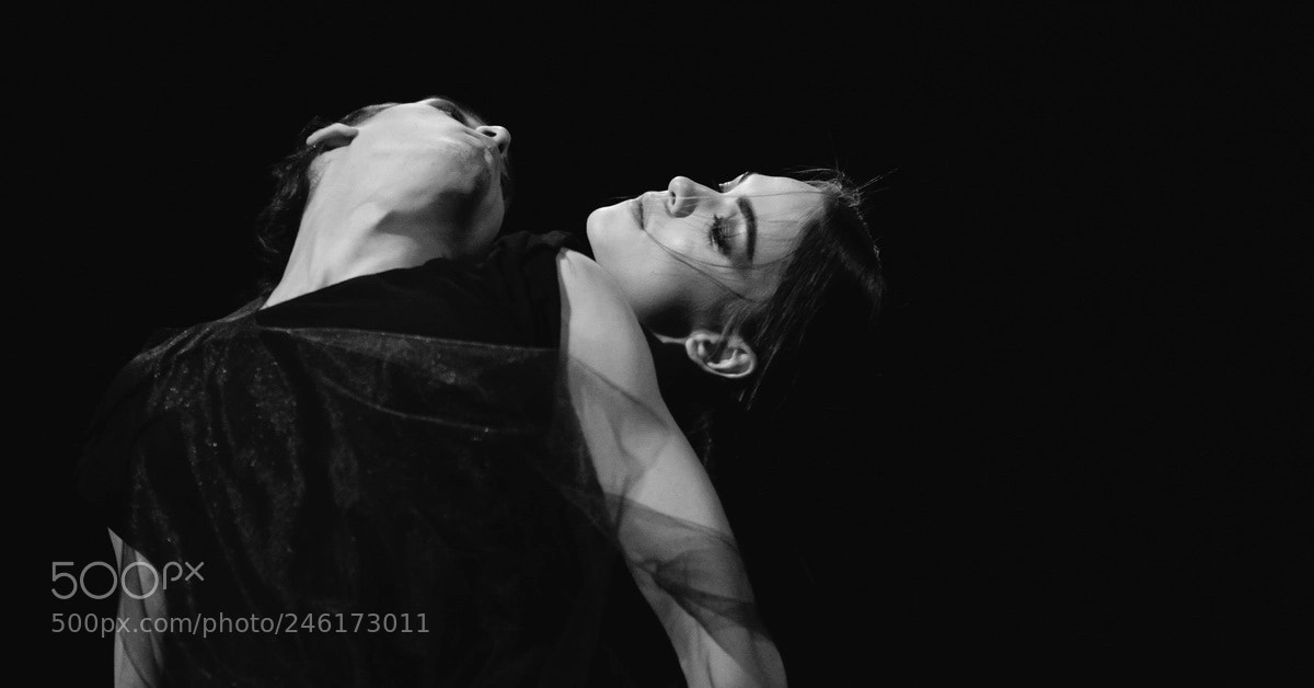 Nikon D610 sample photo. *** photography