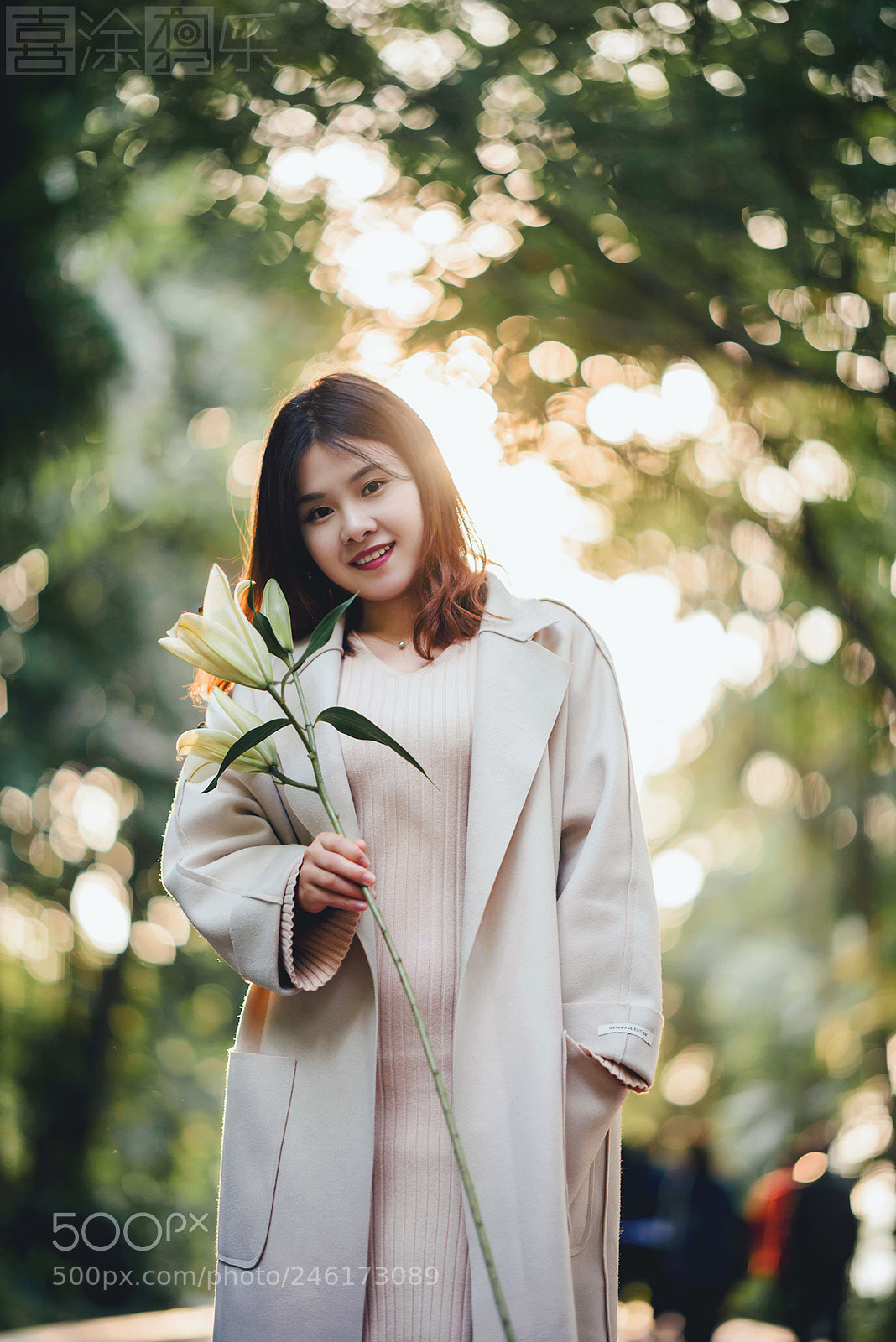 Nikon D810 sample photo. Untitled photography