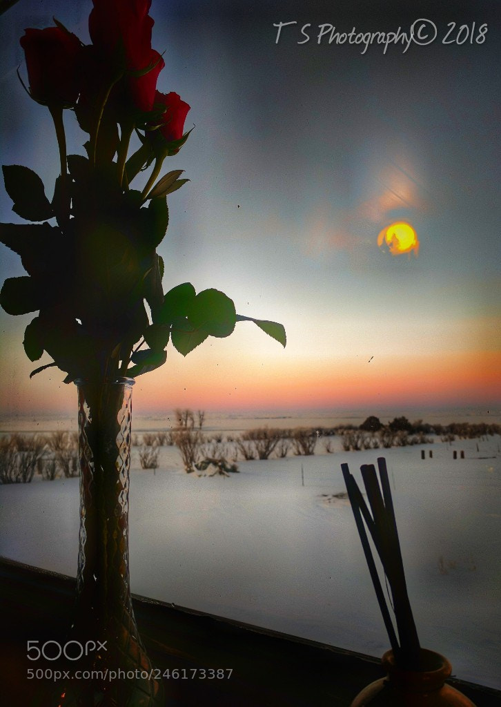 Google Pixel sample photo. Untitled photography
