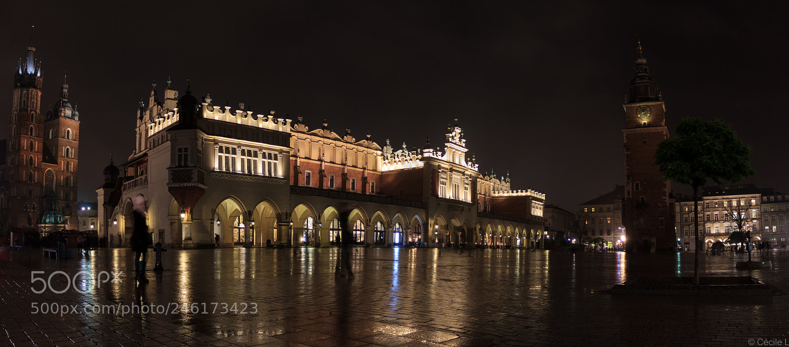 Canon EOS 600D (Rebel EOS T3i / EOS Kiss X5) sample photo. Rynek g wny photography