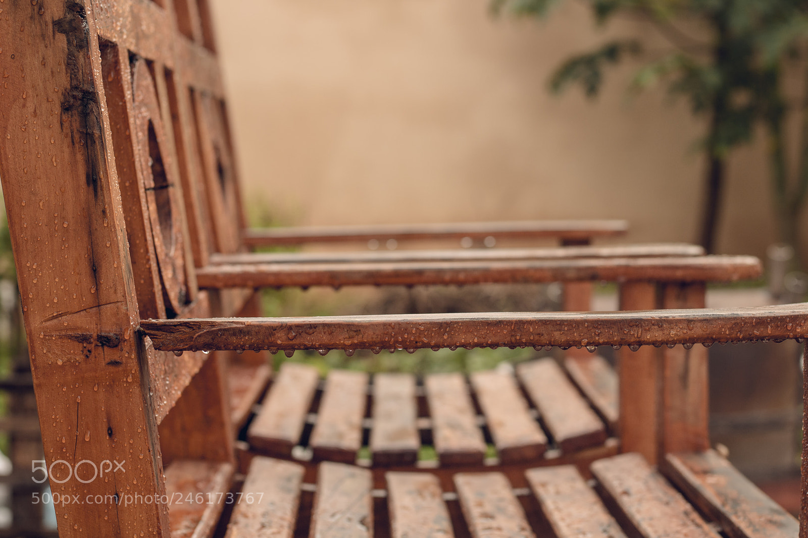 Canon EOS 750D (EOS Rebel T6i / EOS Kiss X8i) sample photo. Untitled photography