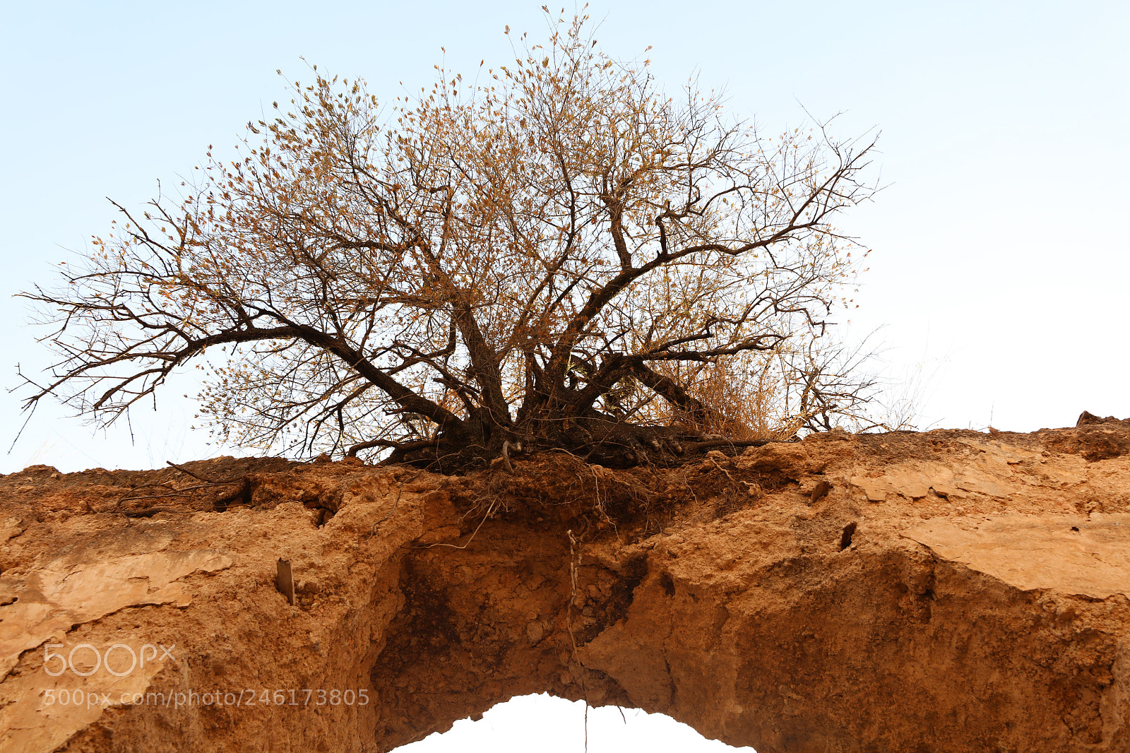 Canon EOS 5DS R sample photo. Eceeo photography