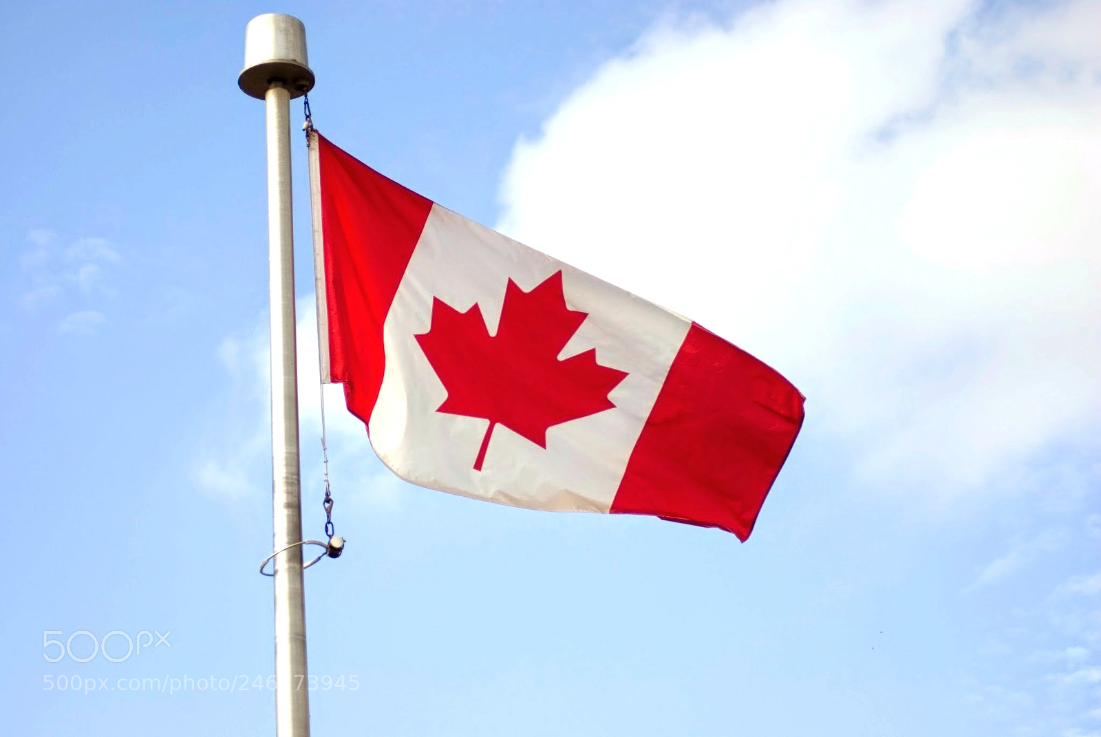 Nikon D80 sample photo. Canada flag photography