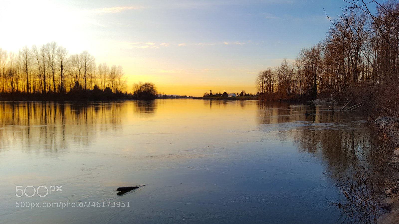 Samsung GALAXY S6 edge sample photo. Down the skagit river photography