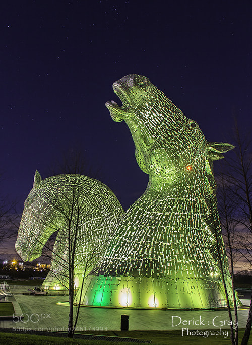 Canon EOS 60D sample photo. Kelpies at night photography