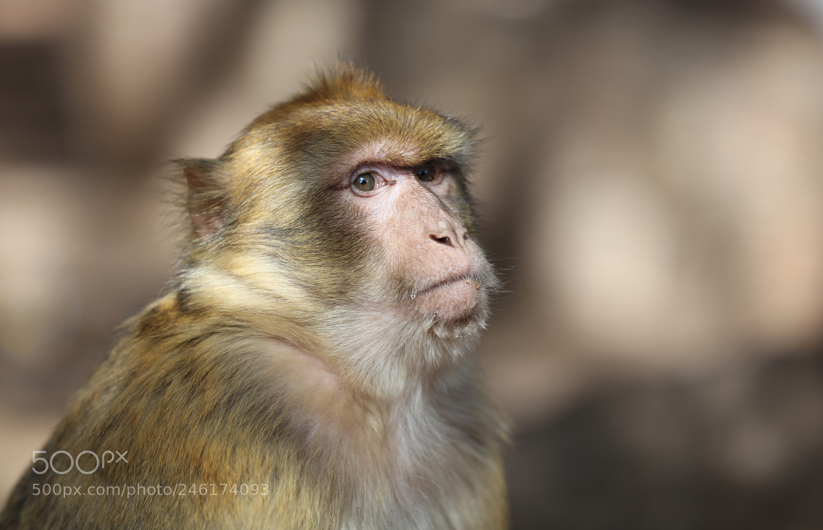Canon EOS 5DS R sample photo. Aeddf o photography