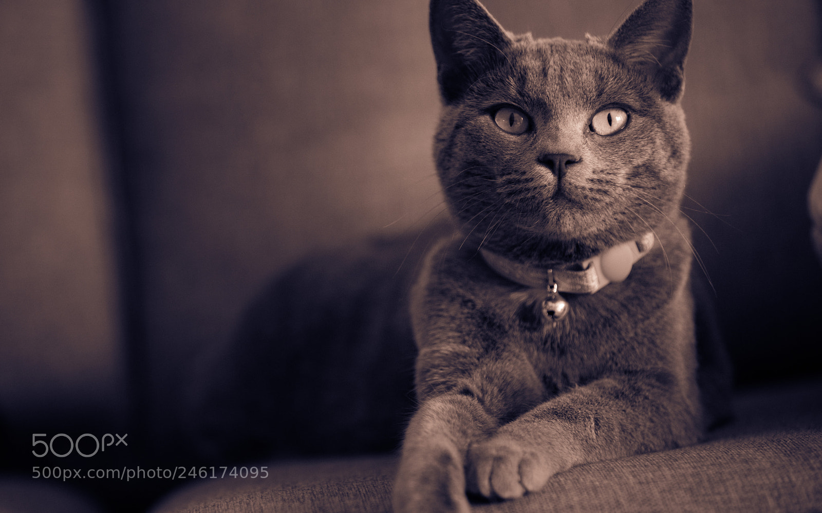 Canon EOS 5DS R sample photo. Dfecff o photography