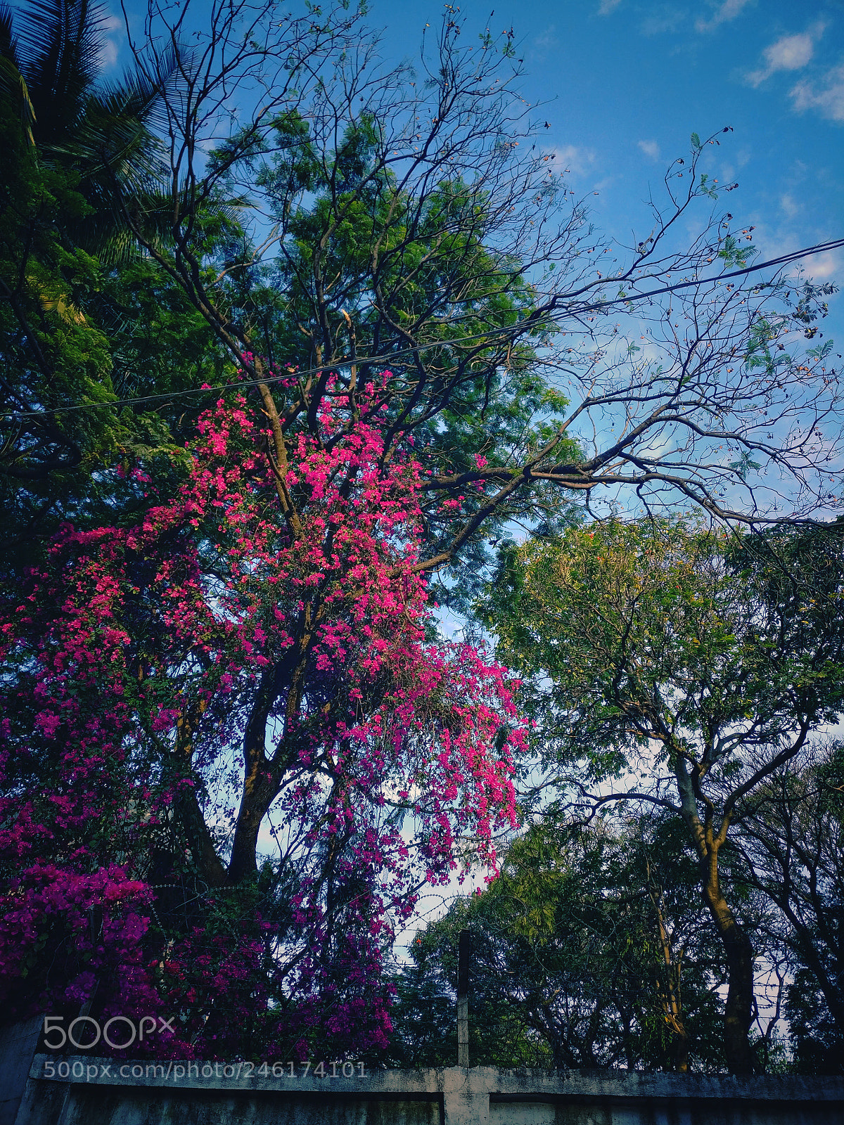 OnePlus A3003 sample photo. Arrival of spring photography