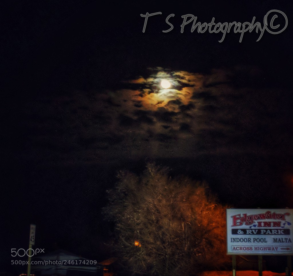 Google Pixel sample photo. Untitled photography