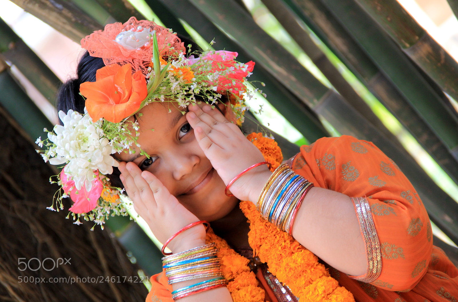 Canon EF-S 18-135mm F3.5-5.6 IS sample photo. Falgun photo by photography