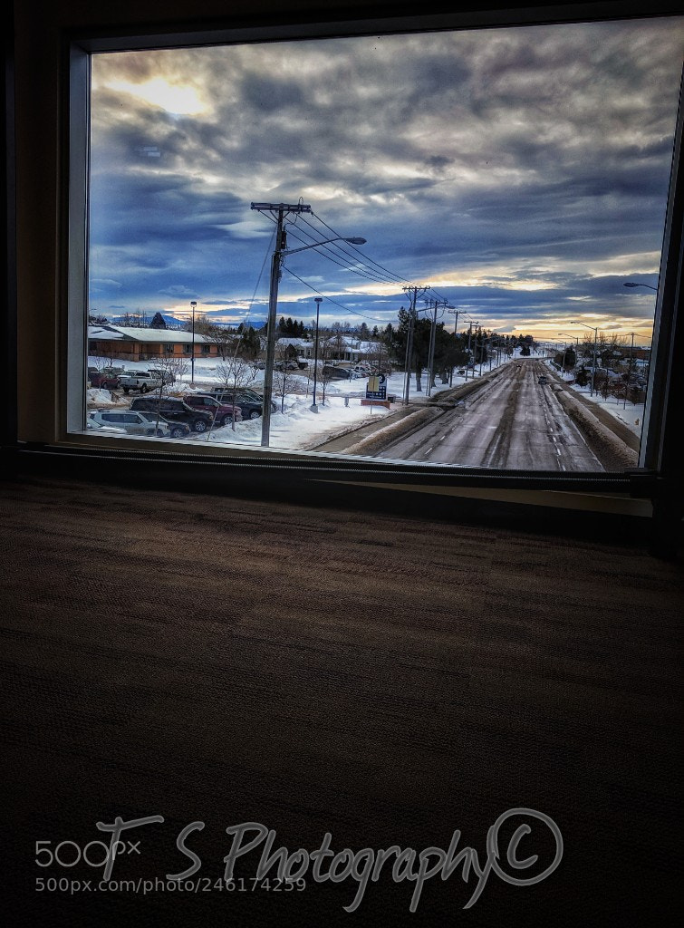 Google Pixel sample photo. Untitled photography