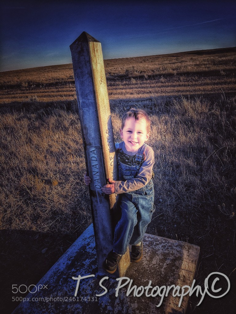 Google Pixel sample photo. Untitled photography