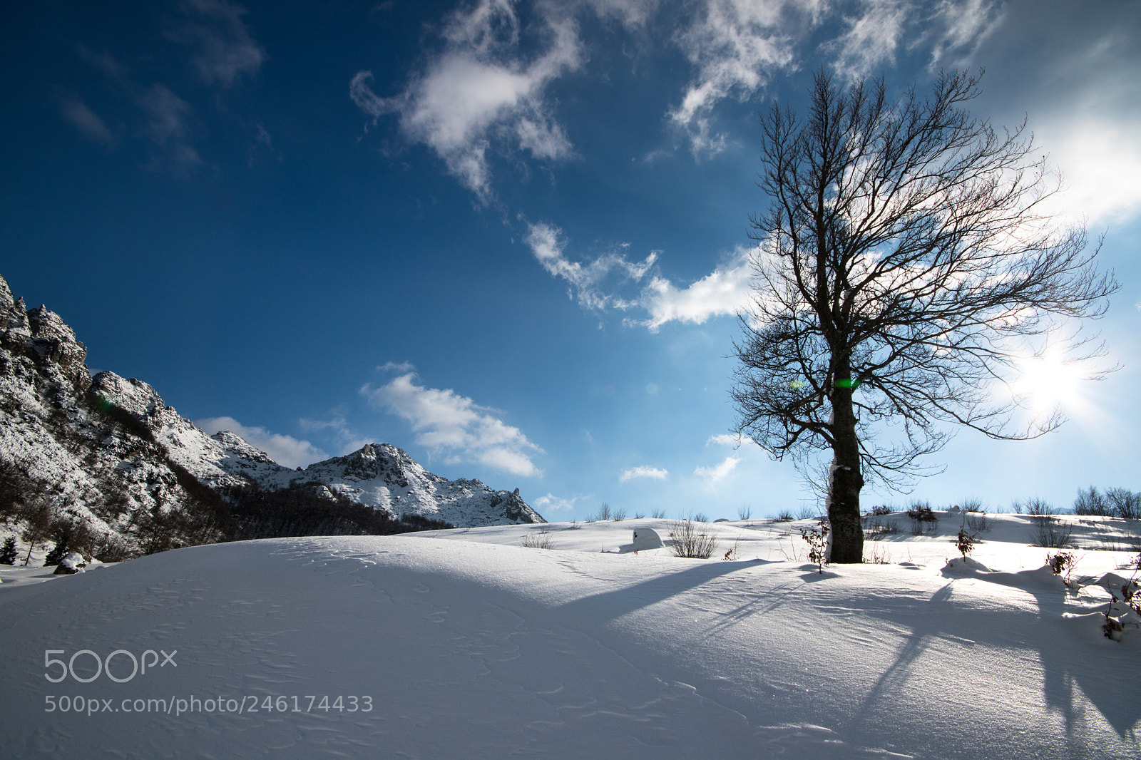 Canon EOS 750D (EOS Rebel T6i / EOS Kiss X8i) sample photo. Valli del pasubio photography