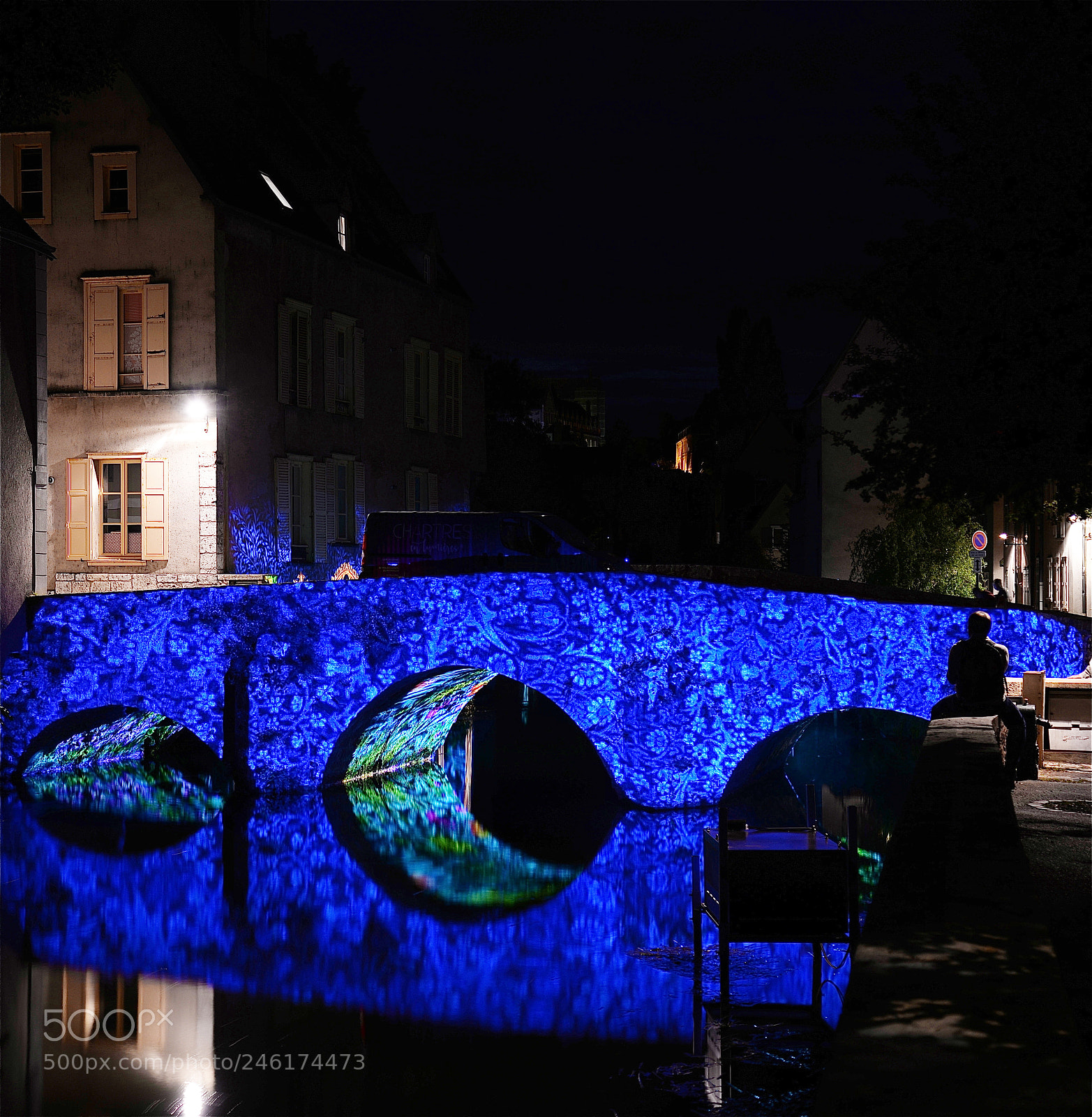 Nikon D610 sample photo. Illuminations de chartres photography