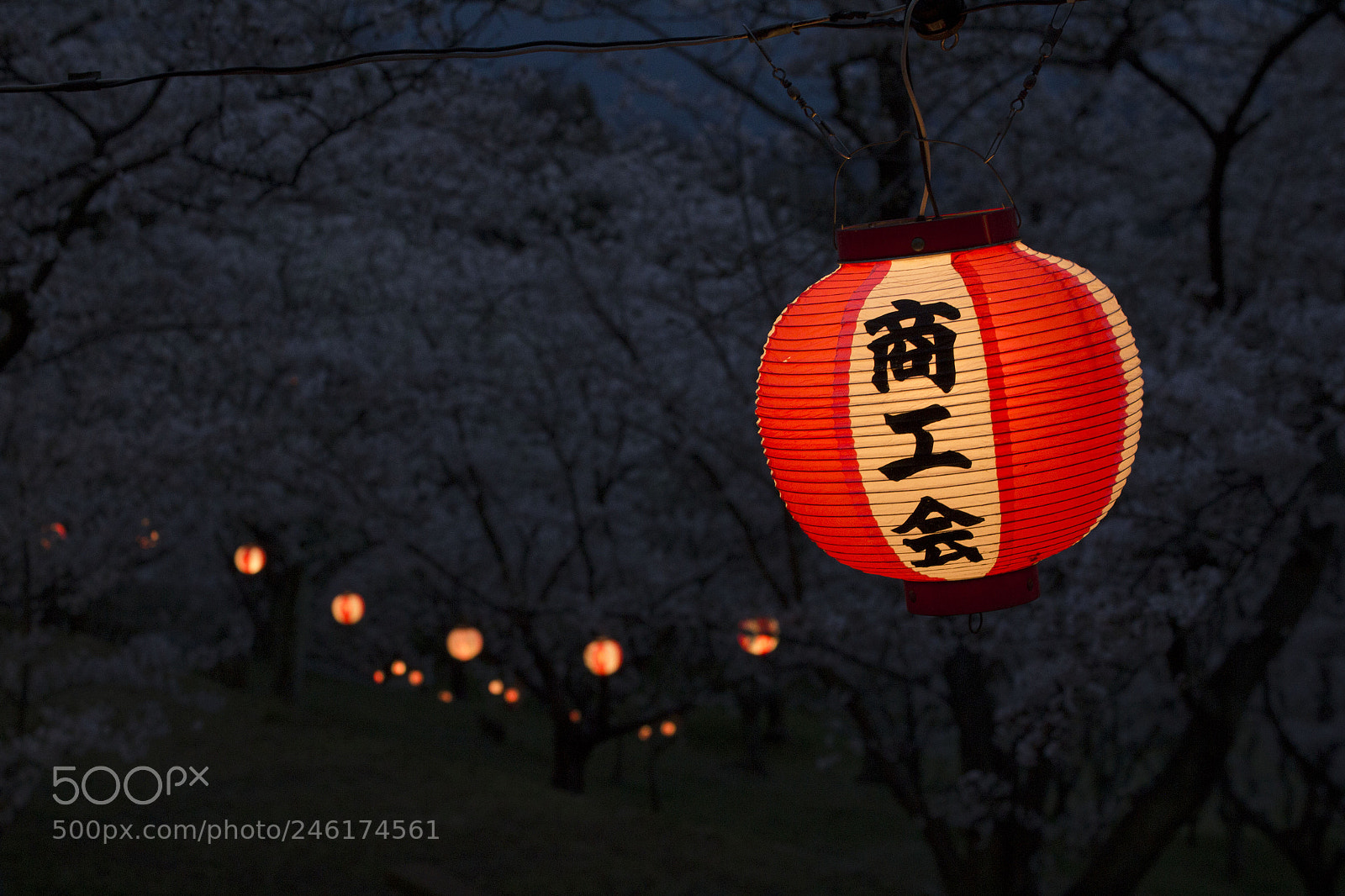 Canon EOS 550D (EOS Rebel T2i / EOS Kiss X4) sample photo. Paper lanterns photography