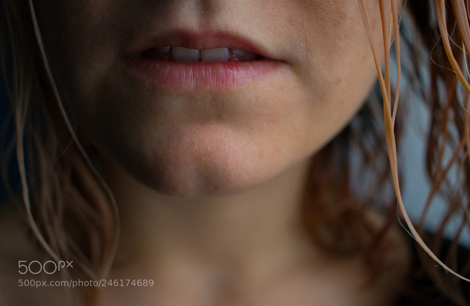 Canon EOS 77D (EOS 9000D / EOS 770D) sample photo. Peace begins with a photography