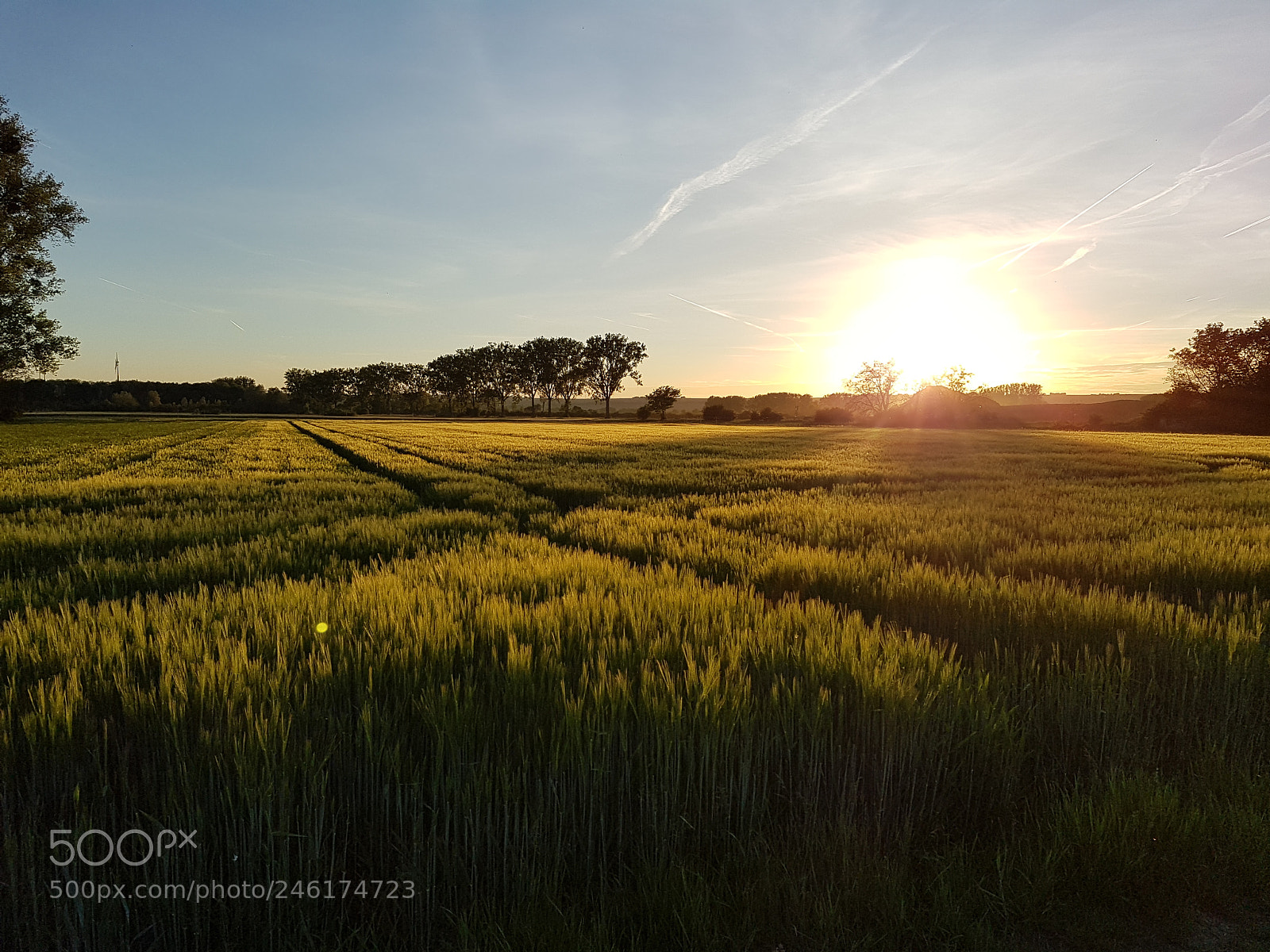 Samsung Galaxy S7 Edge sample photo. Untitled photography
