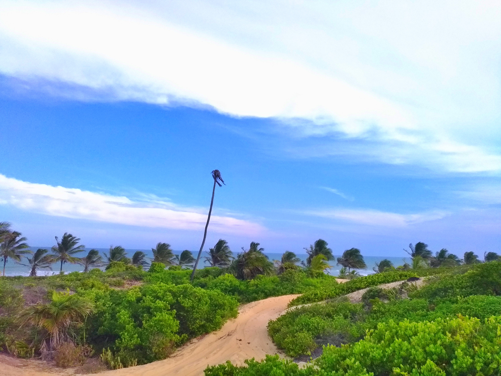 ASUS Z012DC sample photo. Canto do sol beach - bahia photography