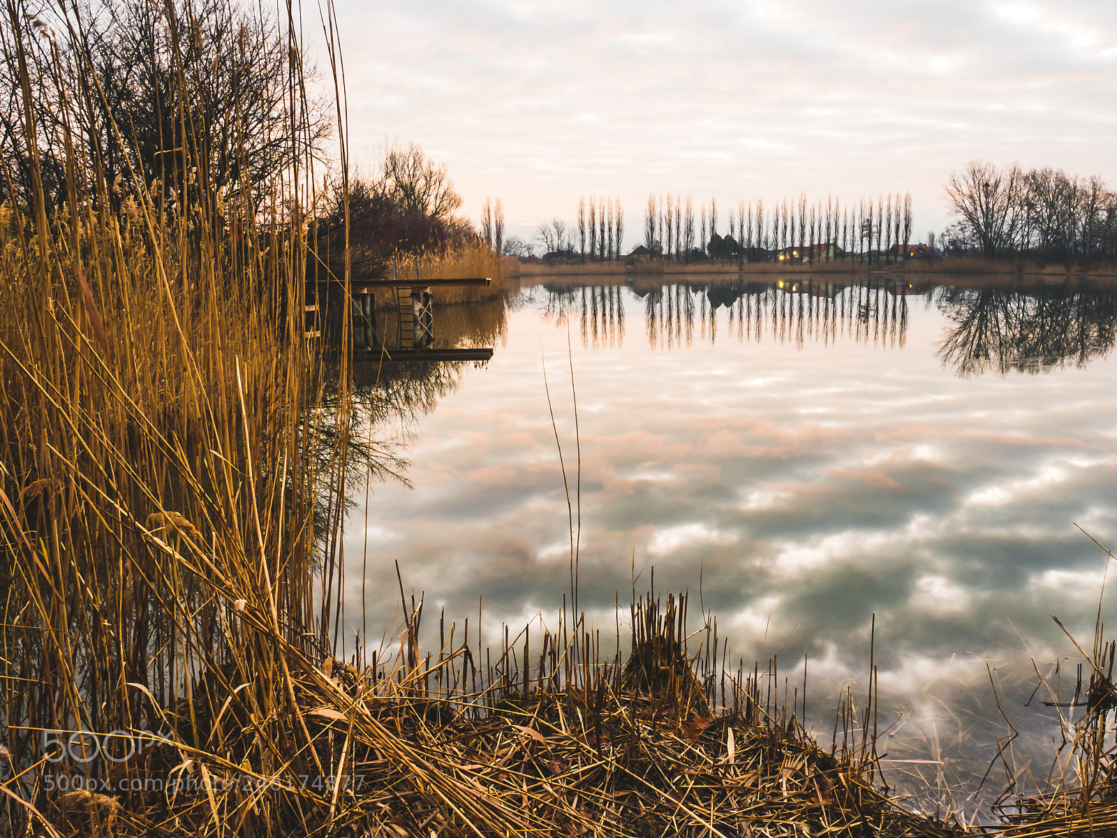 Sony a7R II sample photo. Silence photography