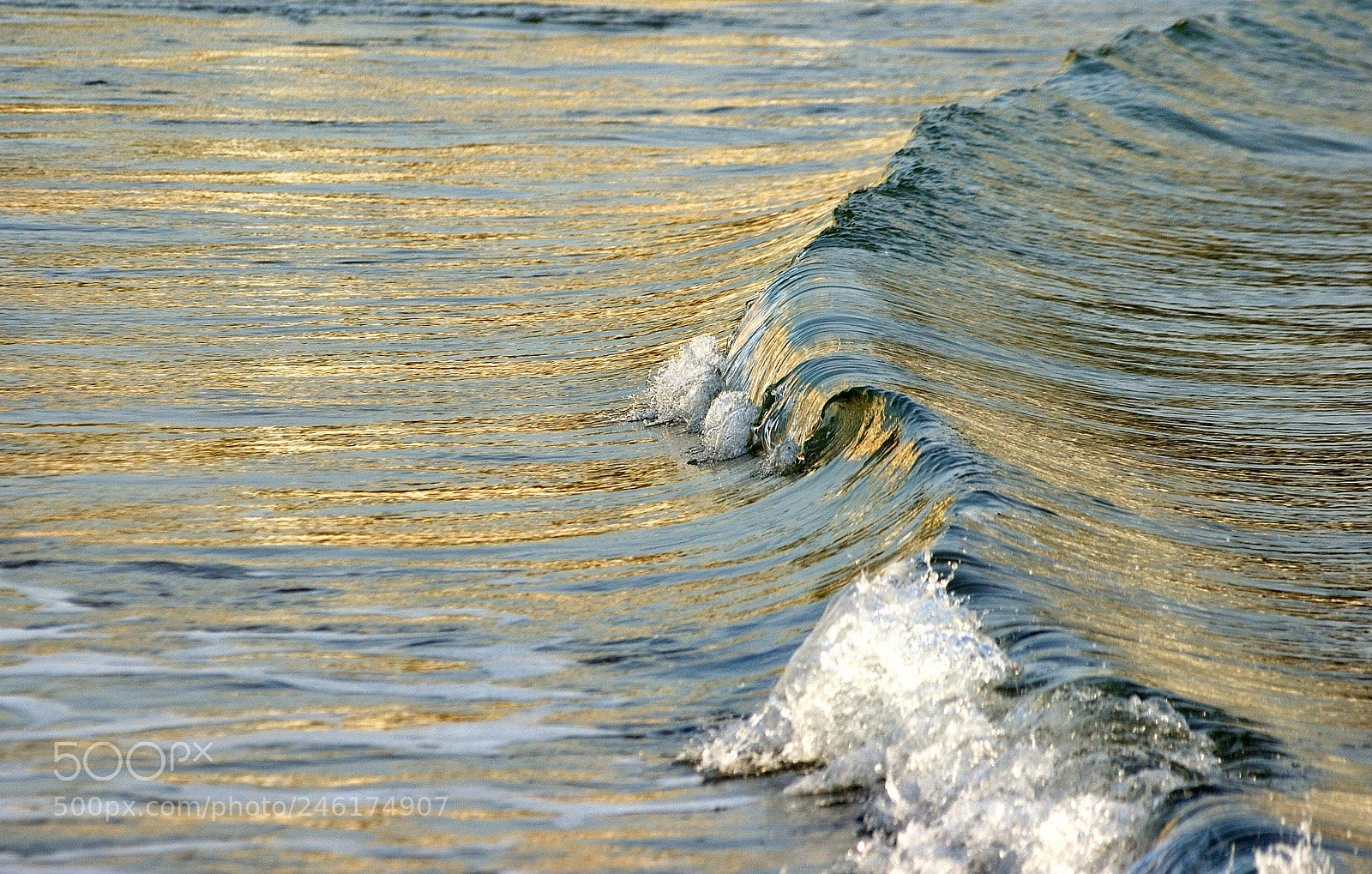 Nikon D70s sample photo. Untitled photography