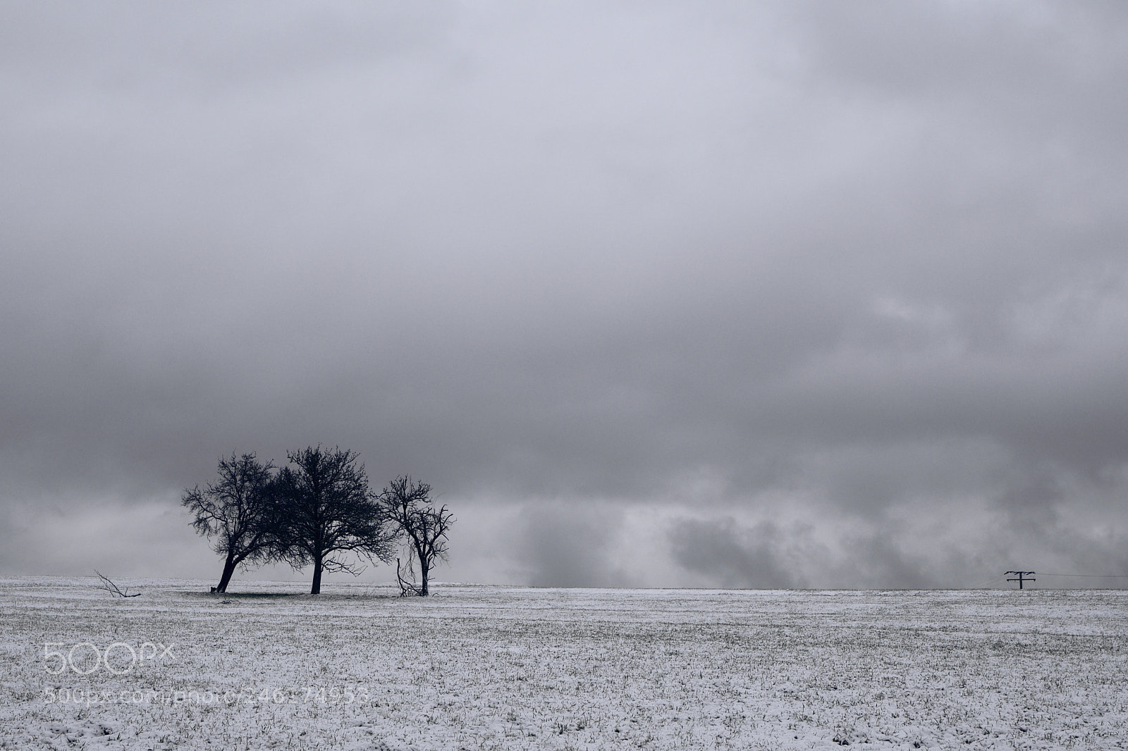 Nikon D7500 sample photo. Three and a half photography