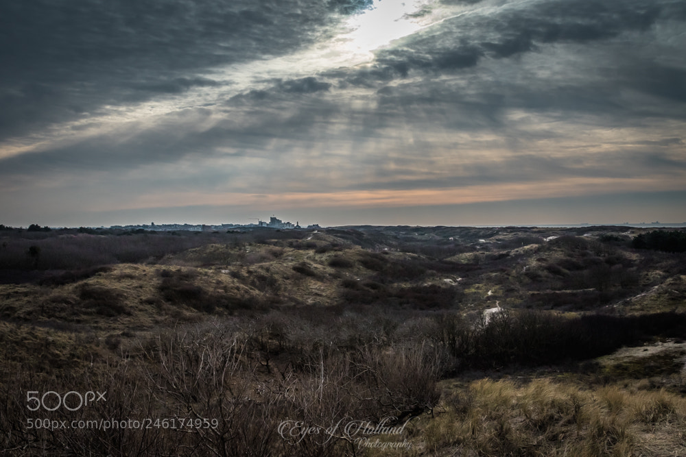 Canon EOS 7D Mark II sample photo. Dutch dunes photography