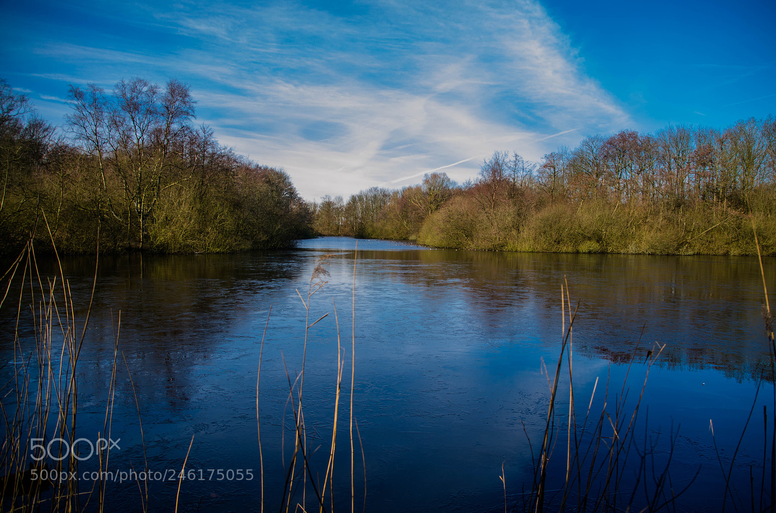 Nikon D5100 sample photo. Sunny winter day photography