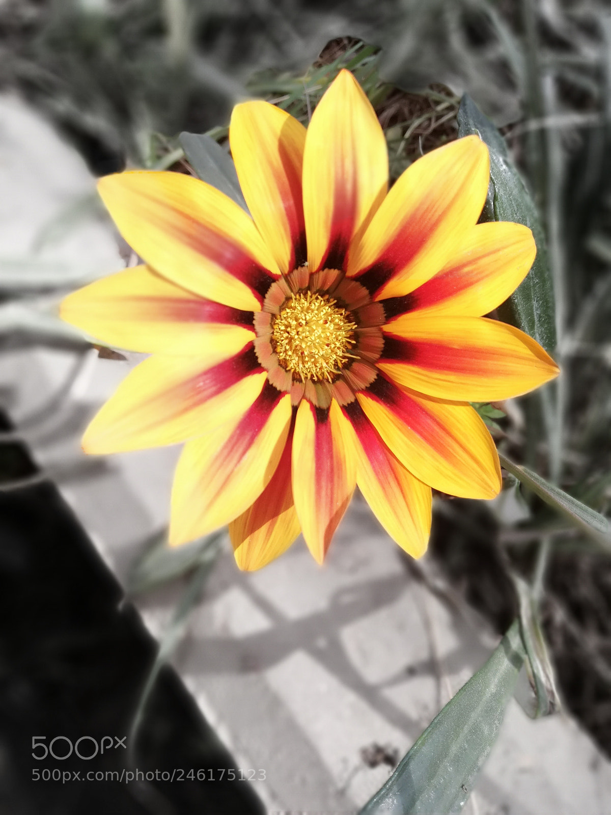 HUAWEI Mate 10 Lite sample photo. Untitled photography