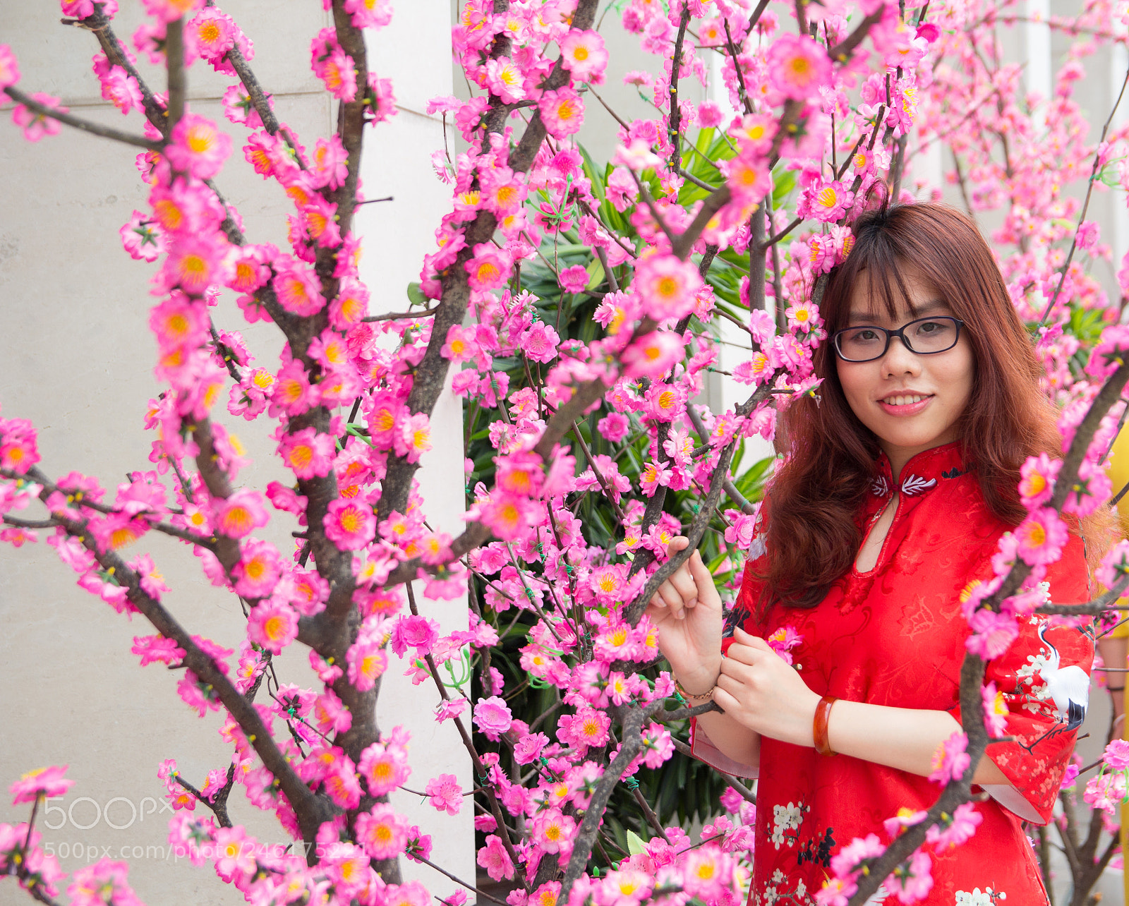 Canon EOS 60D sample photo. Happy lunar new year 2018 photography