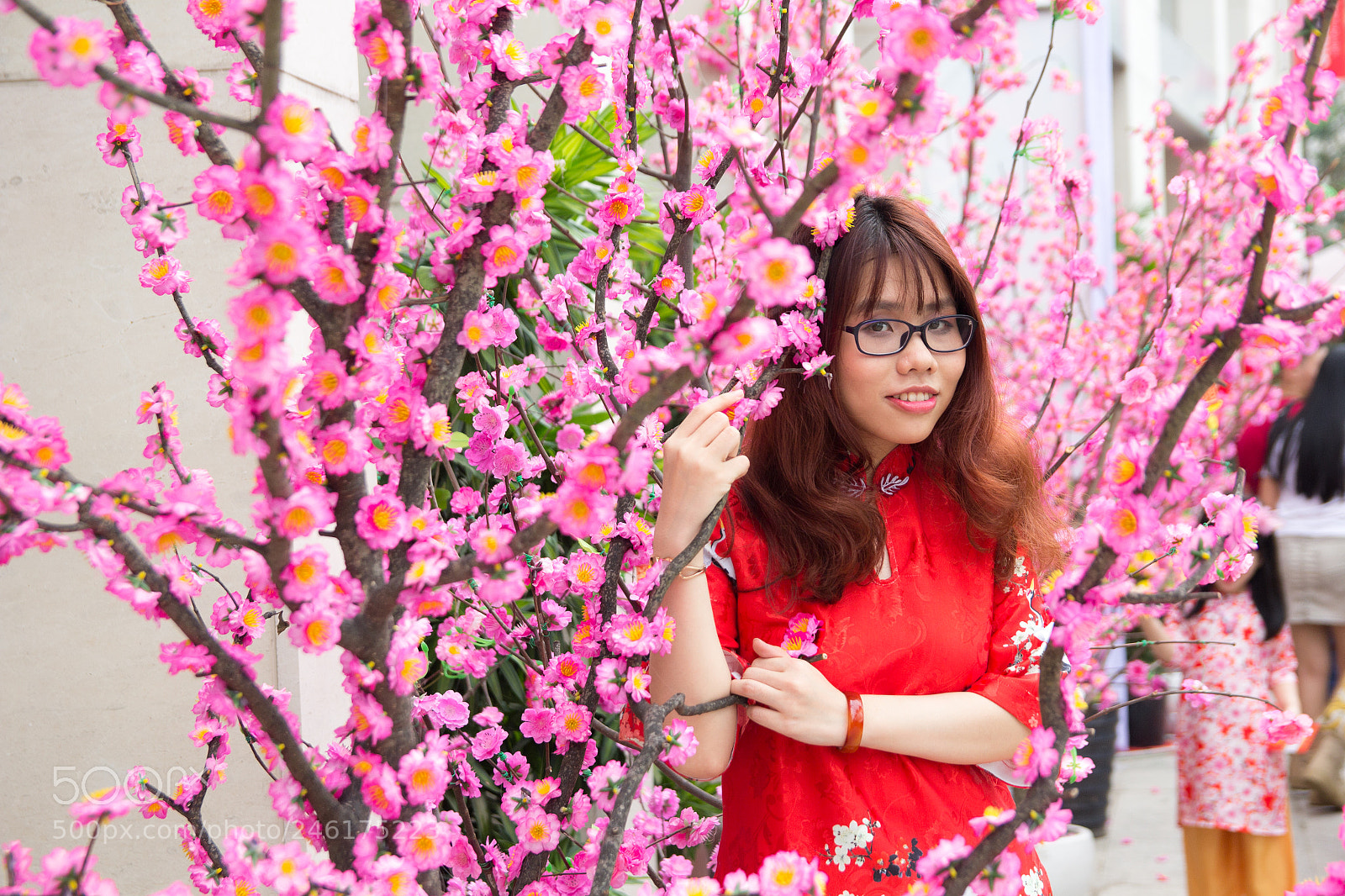 Canon EOS 60D sample photo. Happy lunar new year 2018 photography
