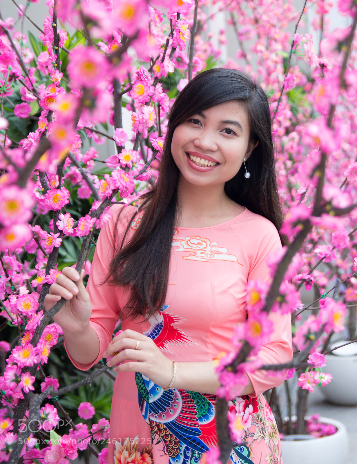 Canon EOS 60D sample photo. Happy lunar new year 2018 photography