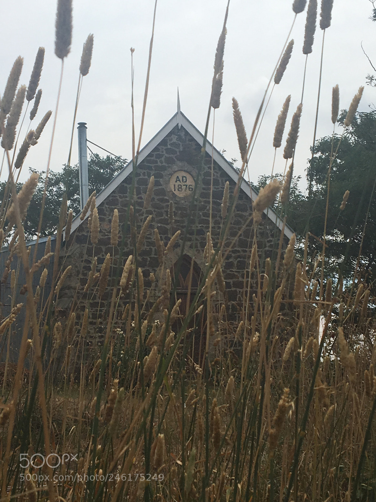 Apple iPhone 6s sample photo. Rural introspection #taralga photography