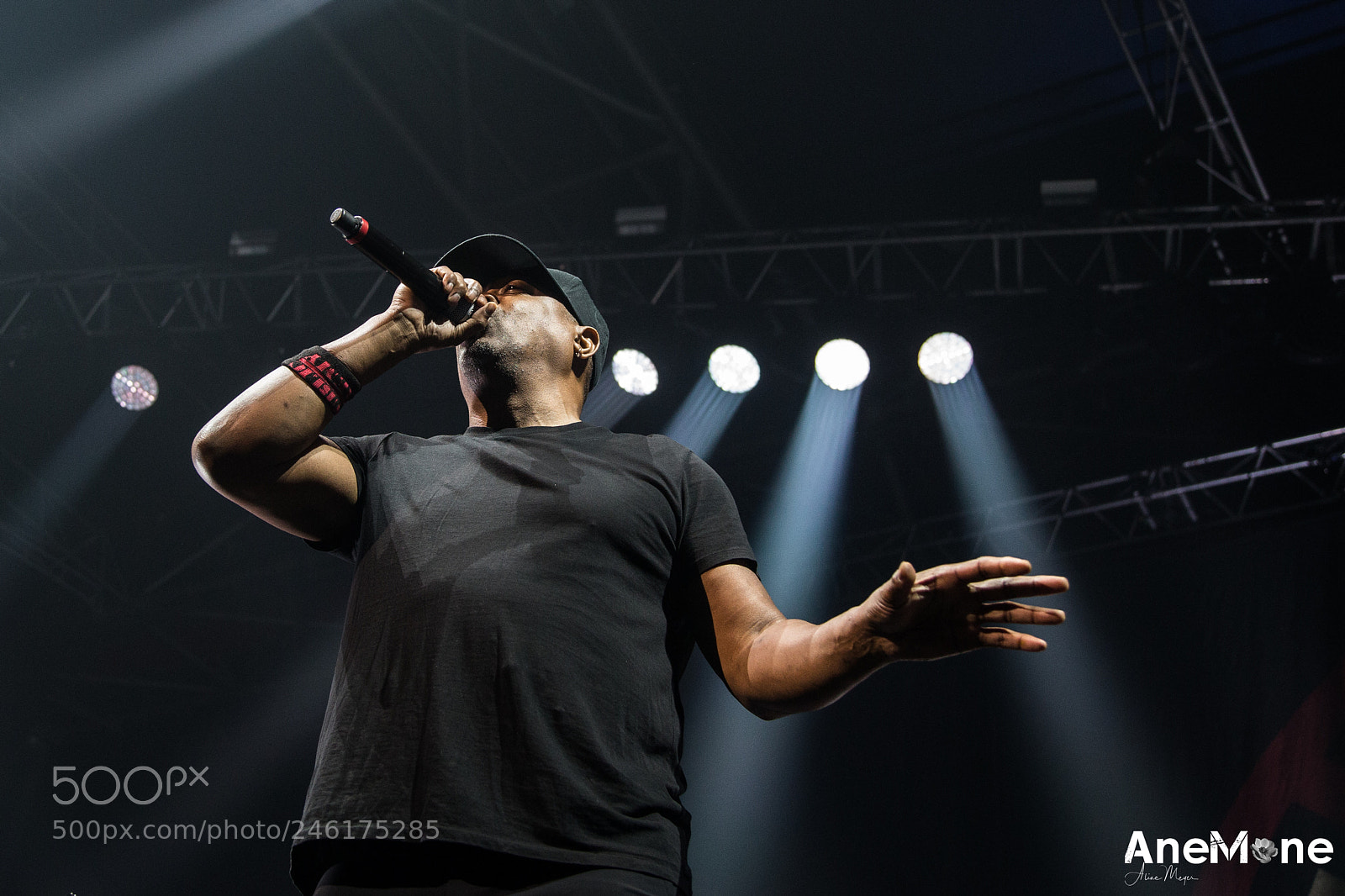 Canon EOS-1D X sample photo. Prophets of rage photography