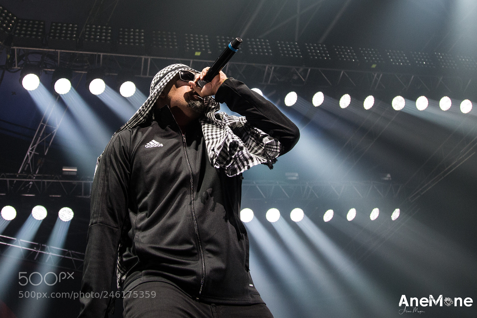 Canon EOS-1D X sample photo. Prophets of rage photography