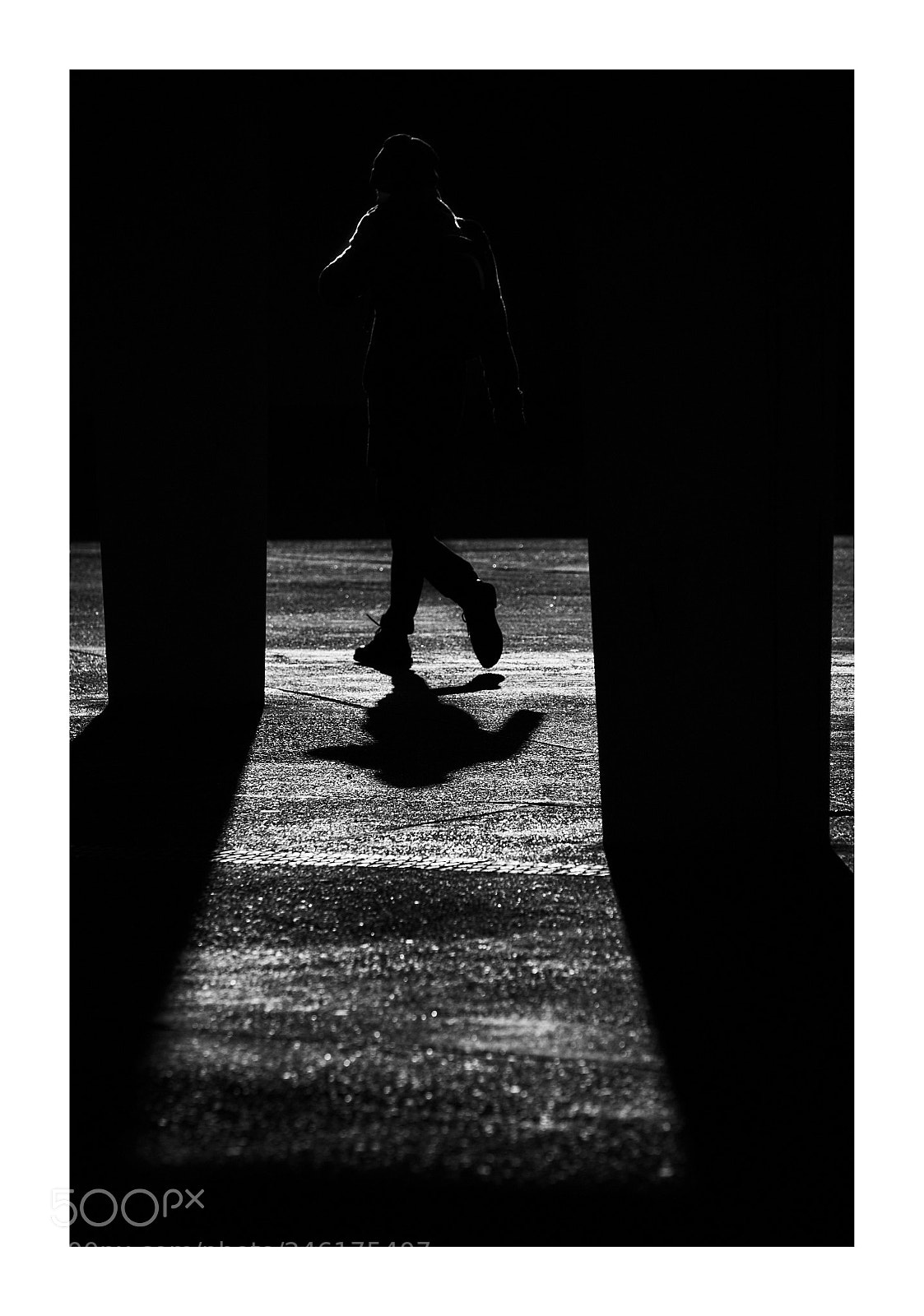 Fujifilm X-T2 sample photo. Frame of life photography